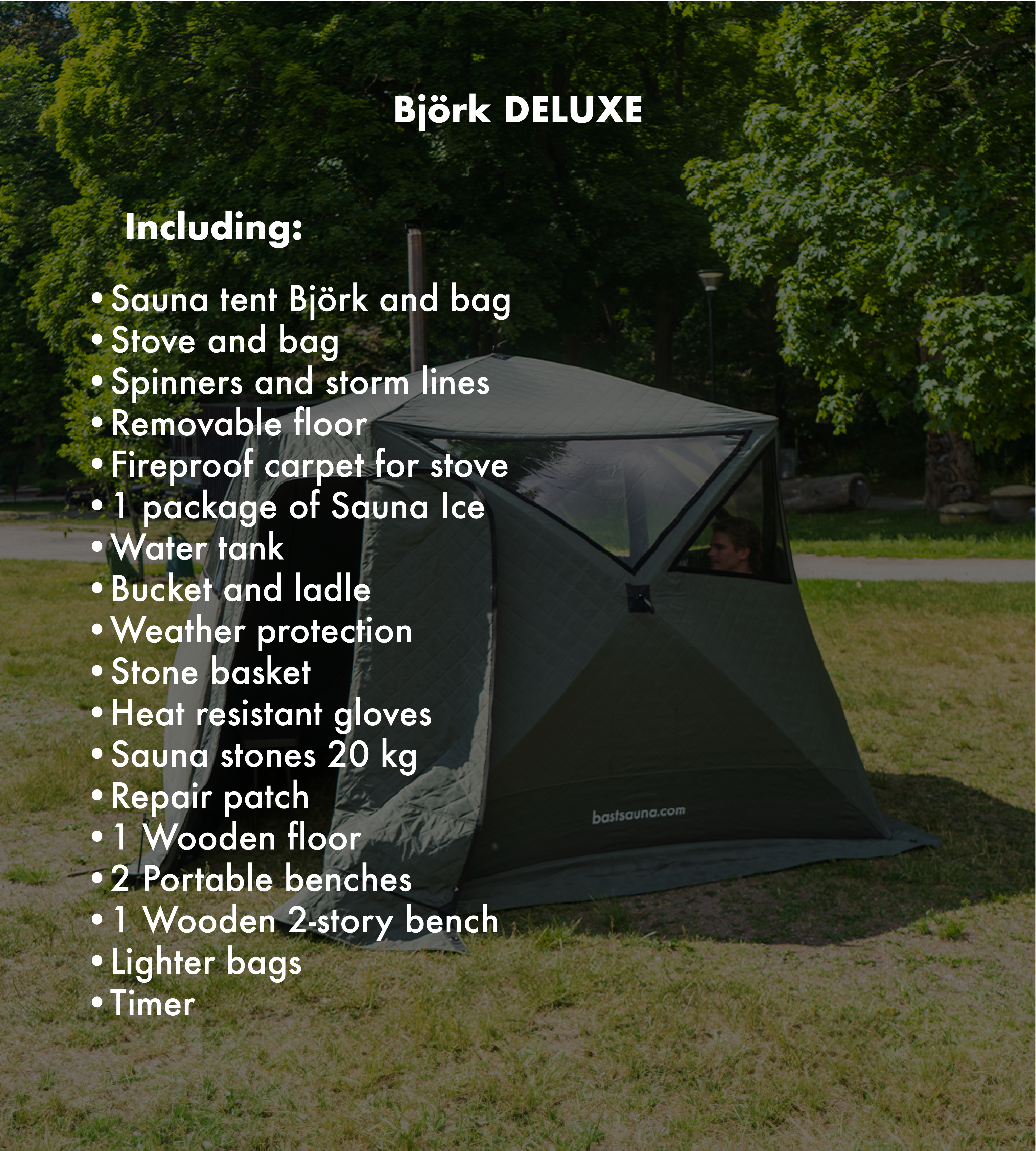 Björk deluxe