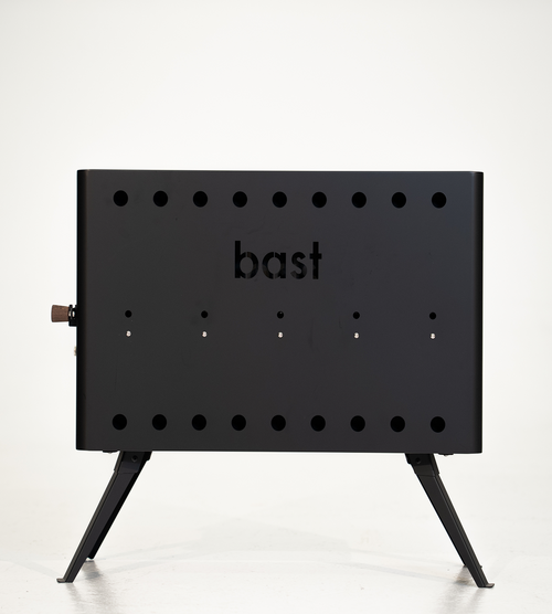 Björk basic