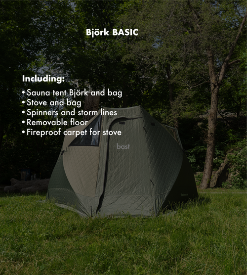 Björk basic